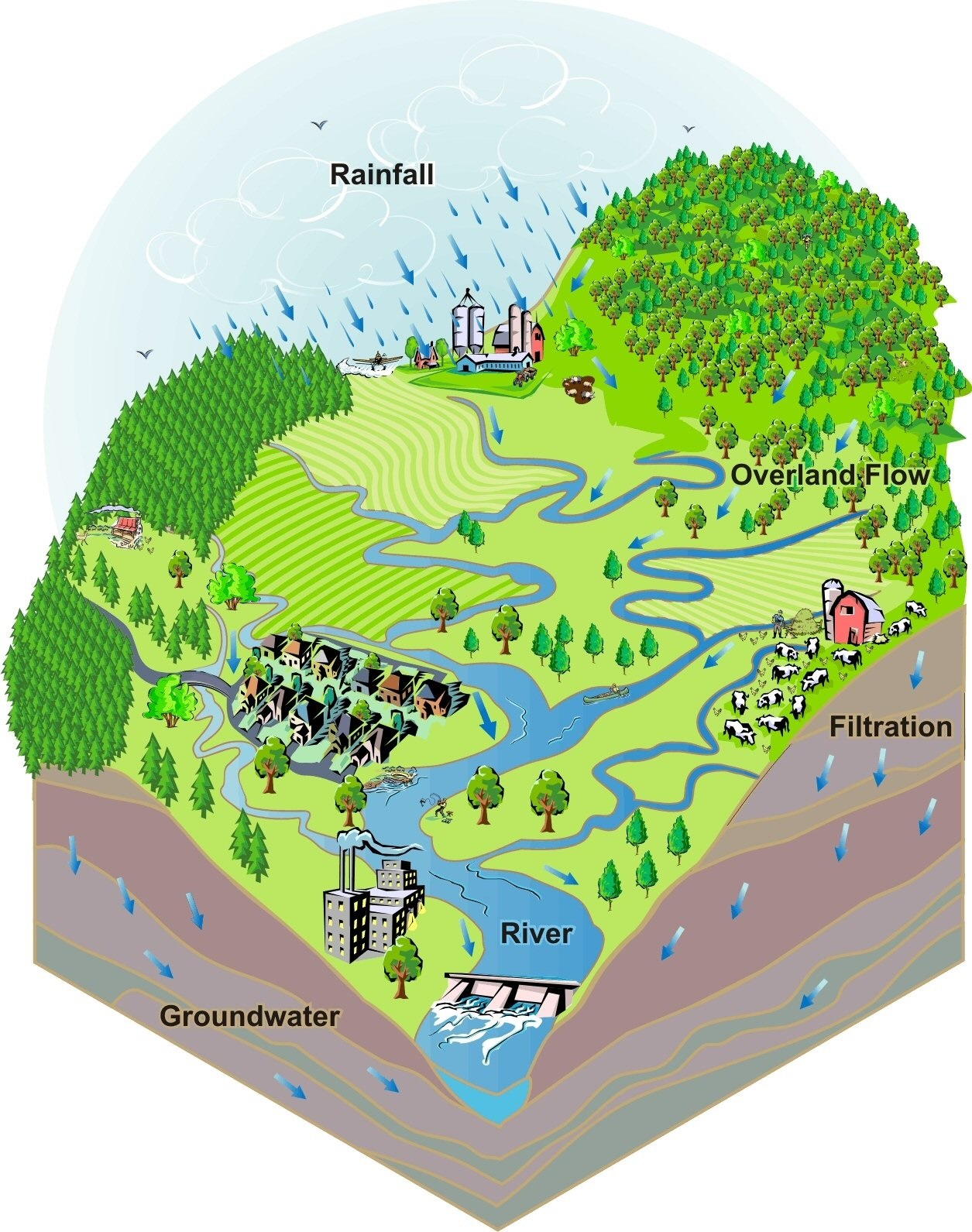 Watershed Illustration