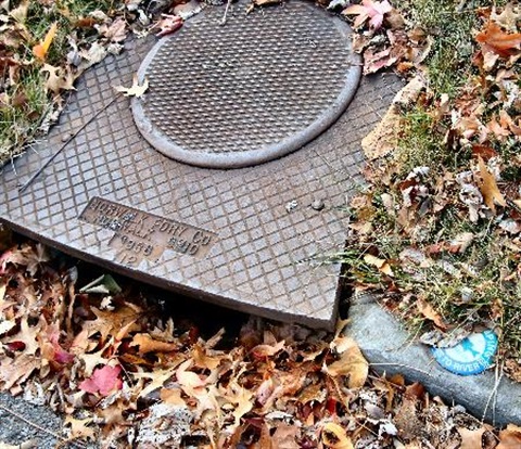 storm drain with leaves